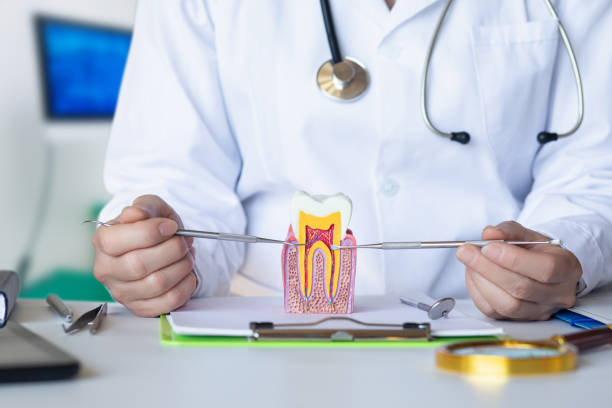 Best Knocked-Out Tooth (Avulsed Tooth) Treatment in Skyline Ganipa, NM